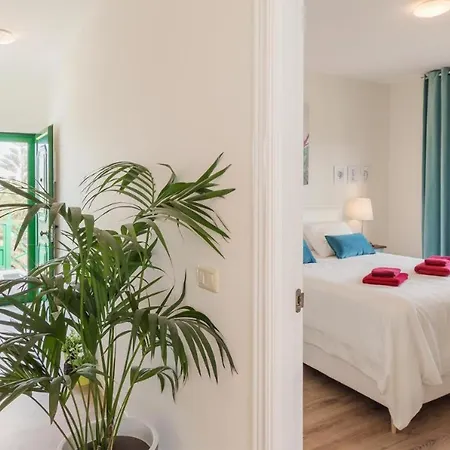 Om Con Vistas Al Mar Y Volcanes